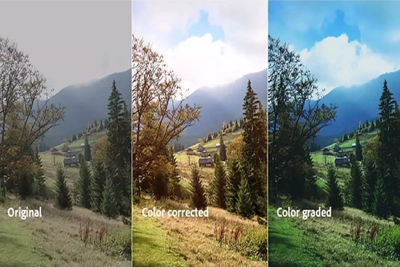 What Is The Color Correction? (StepsbyStep Guide)